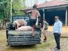 Foto: Ketua I DPRK PUNCAK sedang menyerahkan bantuan kepada keluarga korban 4 orang dari pihak Dang di Kwamki Lama Timika